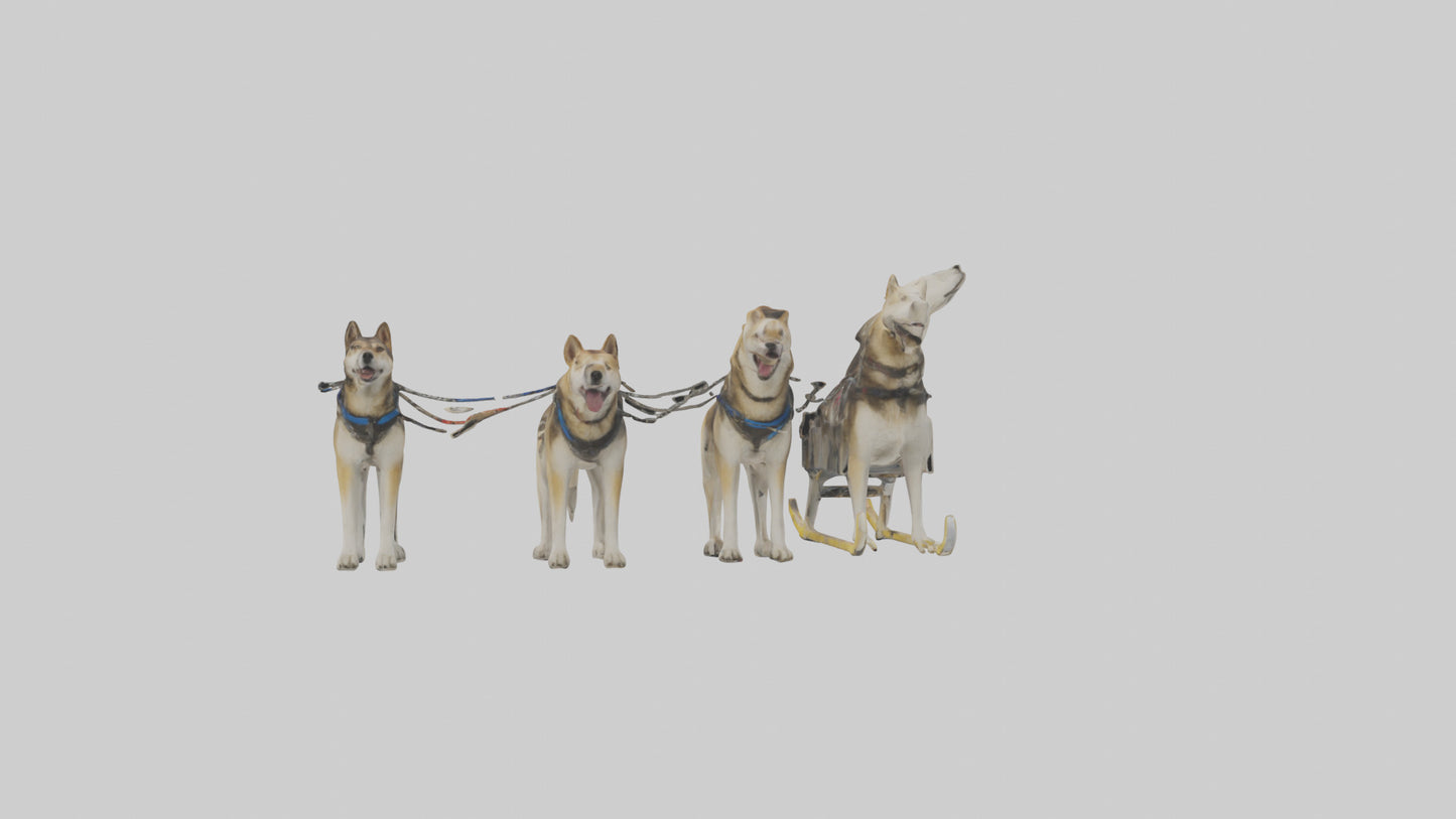 Chinook Dog sledding model VR / AR / low-poly