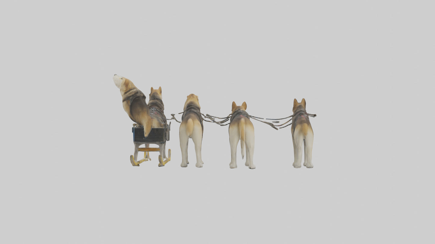Chinook Dog sledding model VR / AR / low-poly