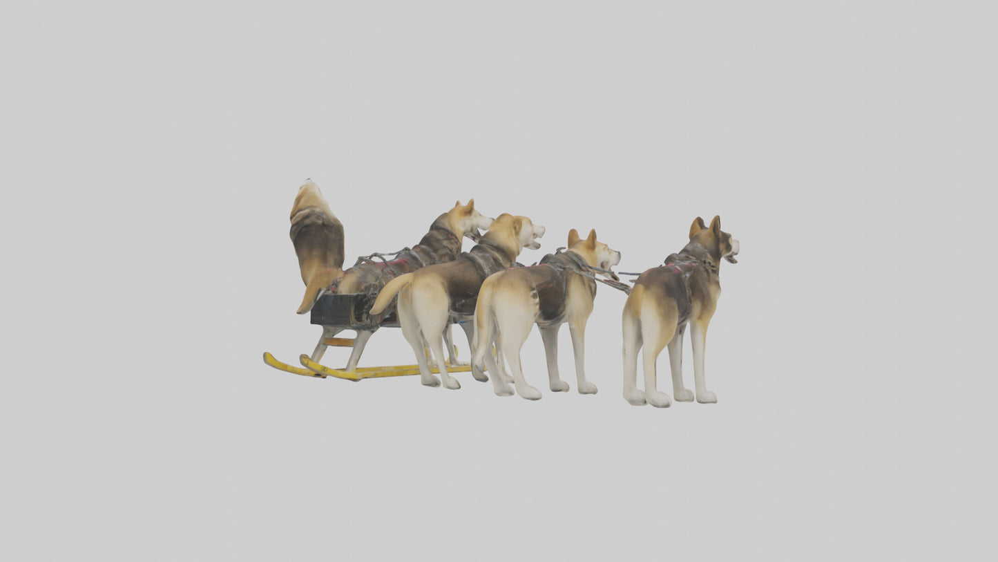 Chinook Dog sledding model VR / AR / low-poly
