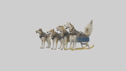 Chinook Dog sledding model VR / AR / low-poly