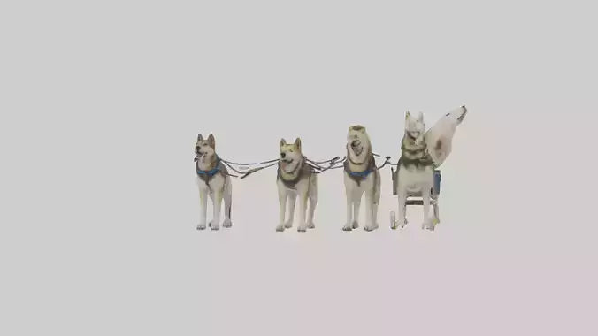 Chinook Dog sledding model VR / AR / low-poly