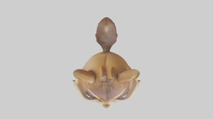 3D model Chipmunk Model 1 VR / AR / low-poly