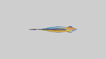 Cichlid exploring coral model VR / AR / low-poly