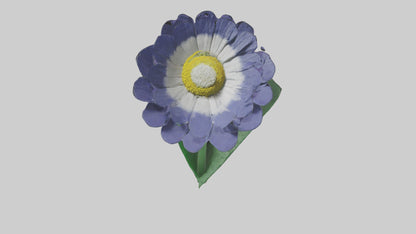 3D model Cineraria flower model VR / AR / low-poly