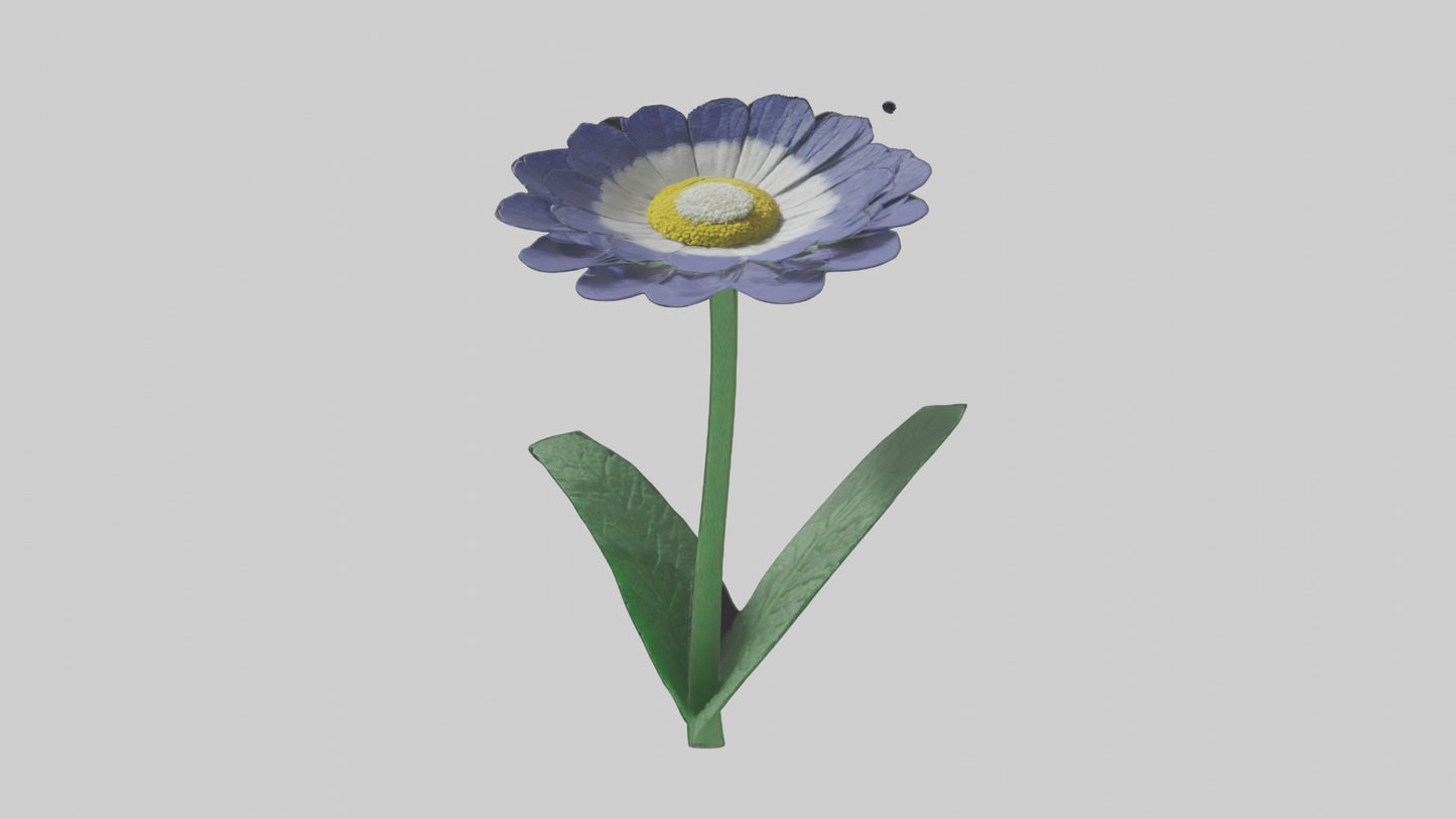 3D model Cineraria flower model VR / AR / low-poly