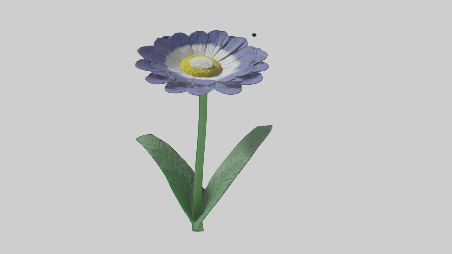 3D model Cineraria flower model VR / AR / low-poly