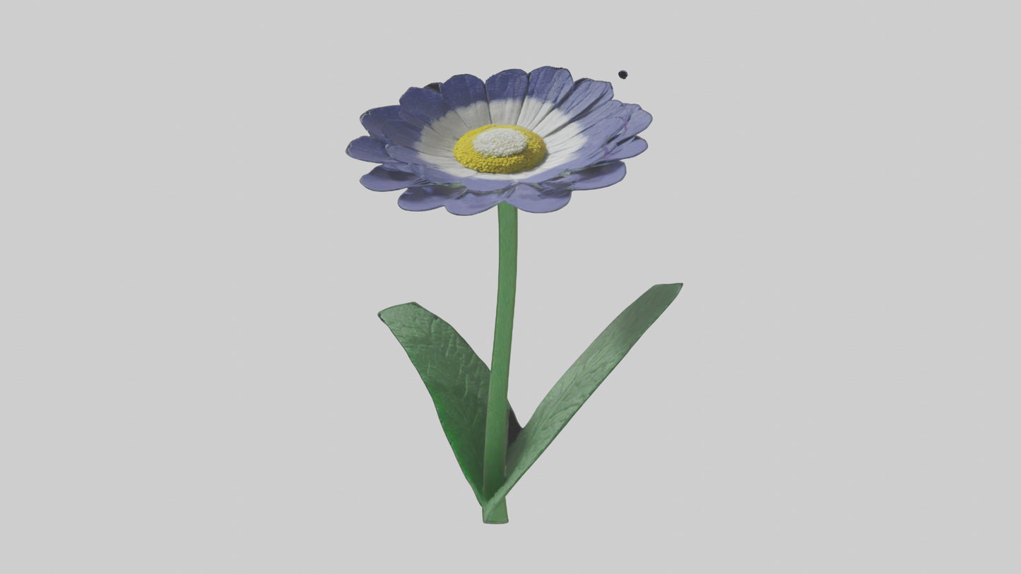 3D model Cineraria flower model VR / AR / low-poly