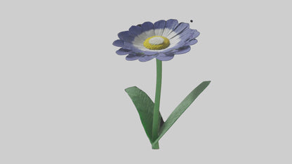 3D model Cineraria flower model VR / AR / low-poly