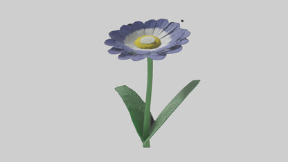 3D model Cineraria flower model VR / AR / low-poly