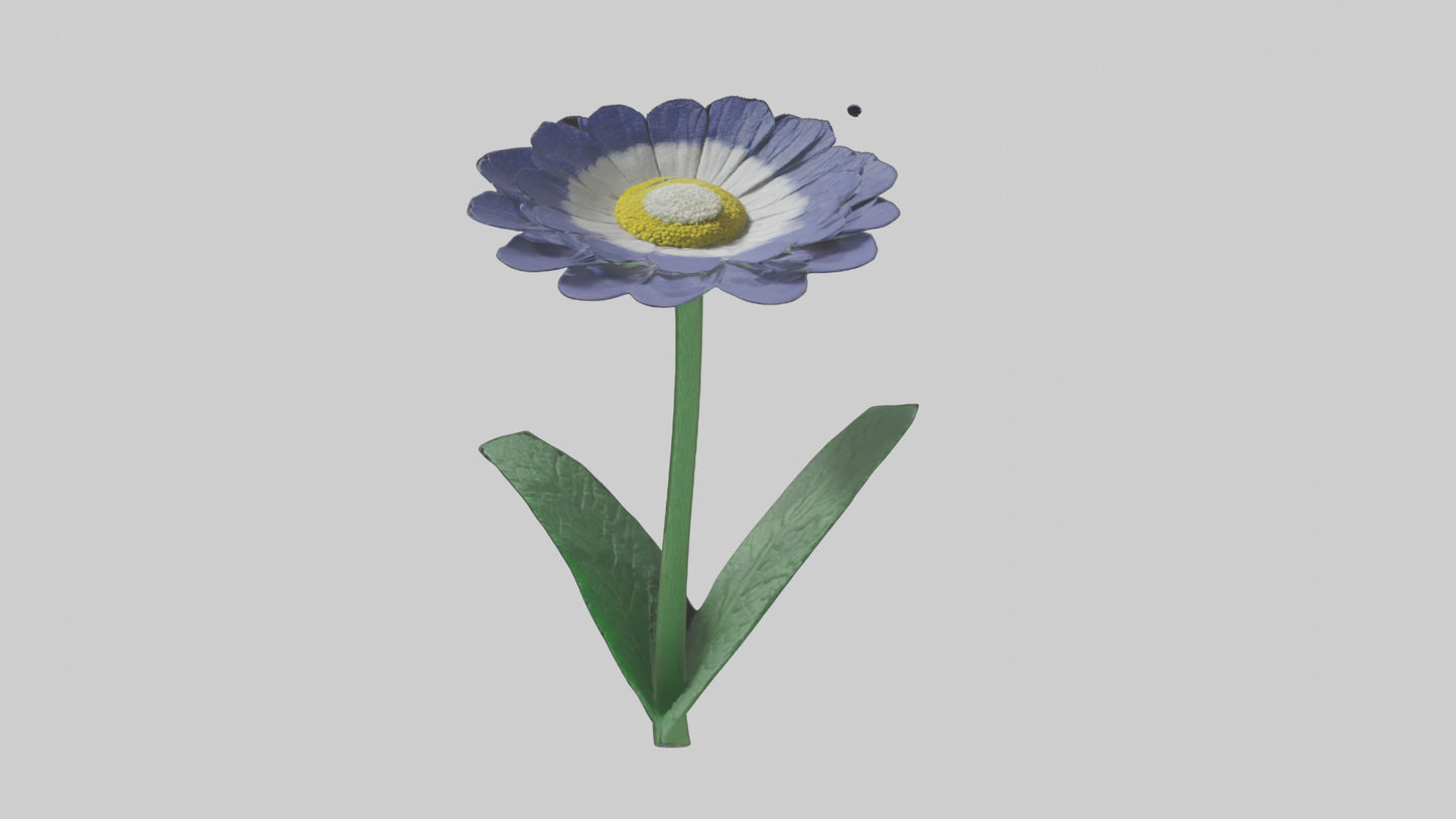 3D model Cineraria flower model VR / AR / low-poly