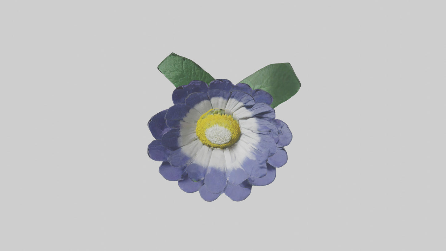 3D model Cineraria flower model VR / AR / low-poly