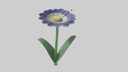 3D model Cineraria flower model VR / AR / low-poly