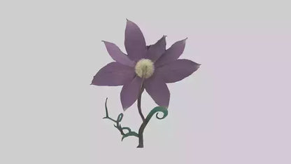 3D model Clematis flower model VR / AR / low-poly