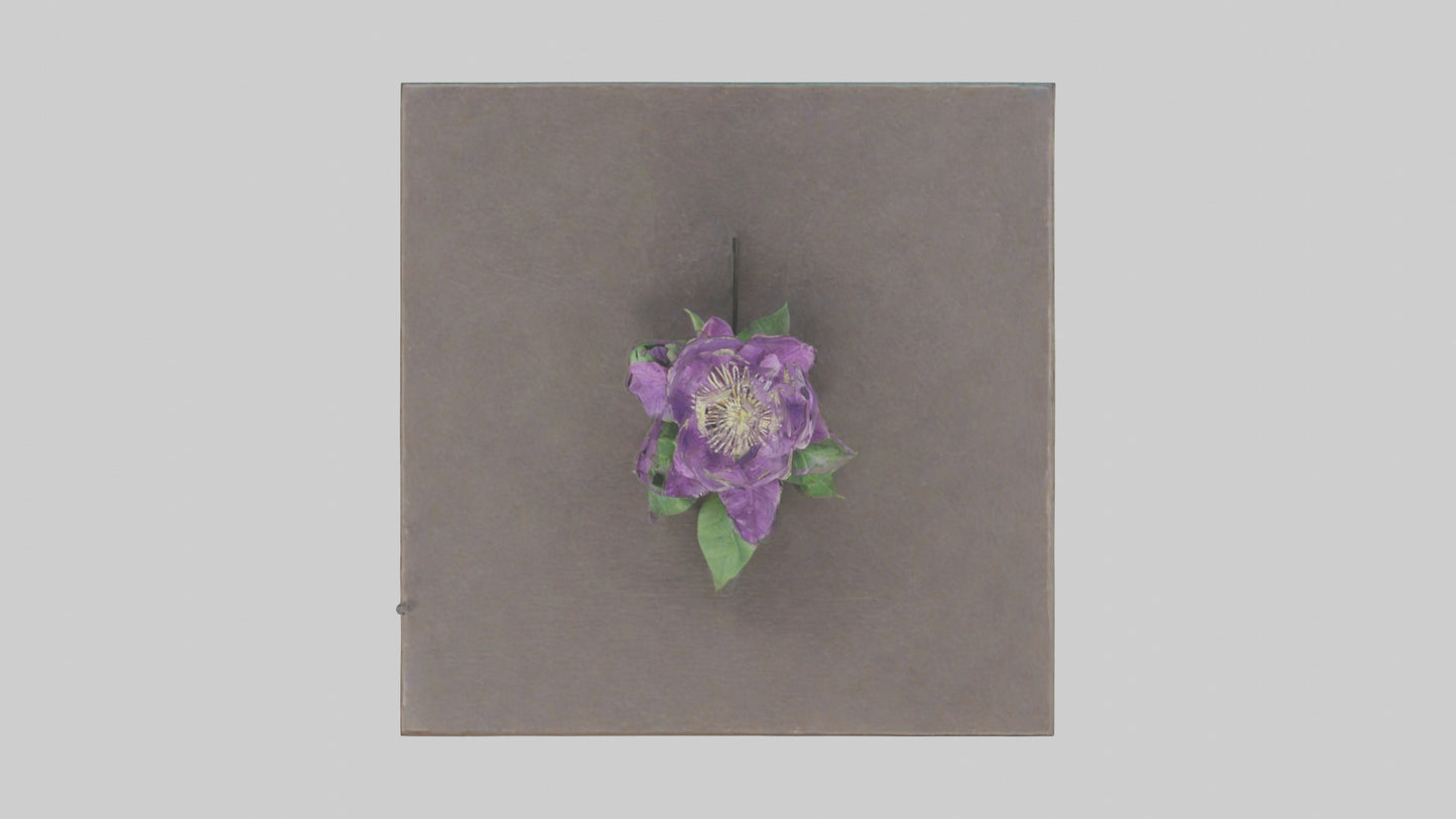Clematis model 3D model