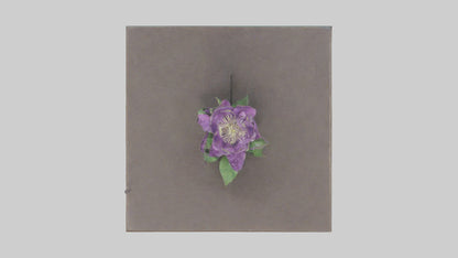Clematis model 3D model