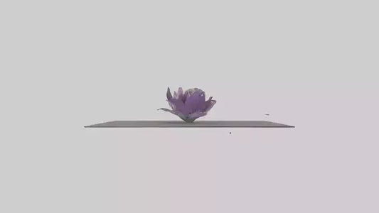 Clematis model 3D model