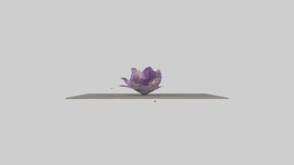 Clematis model 3D model