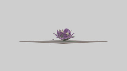 Clematis model 3D model