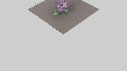 Clematis model 3D model