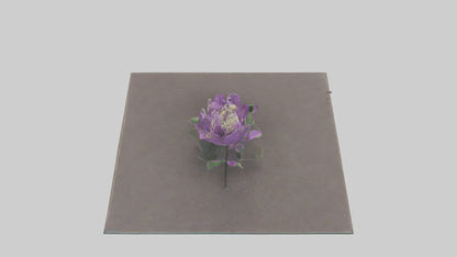 Clematis model 3D model