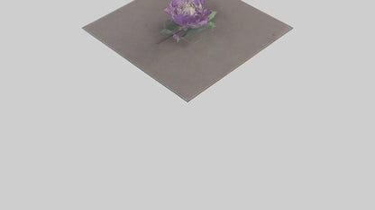 Clematis model 3D model