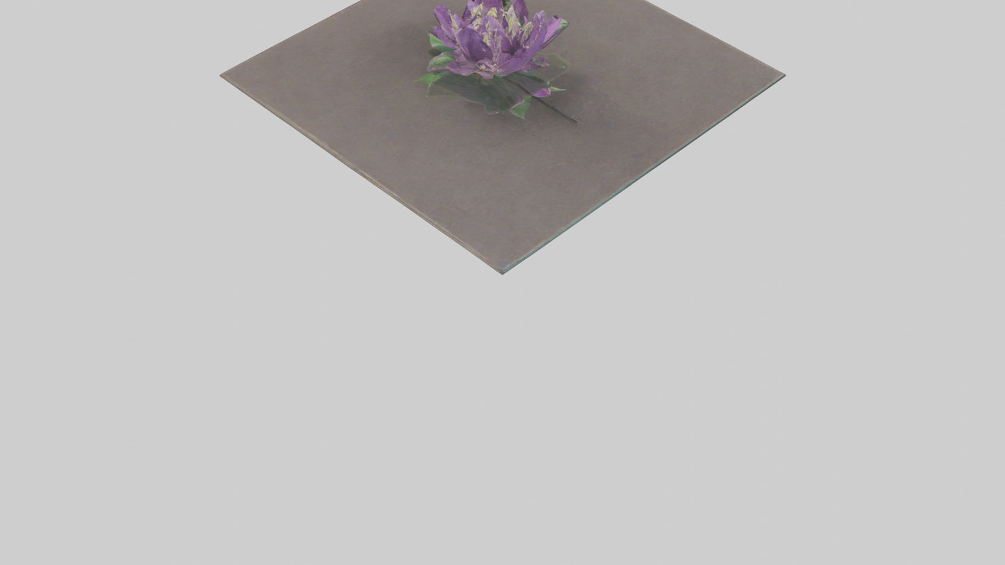 Clematis model 3D model