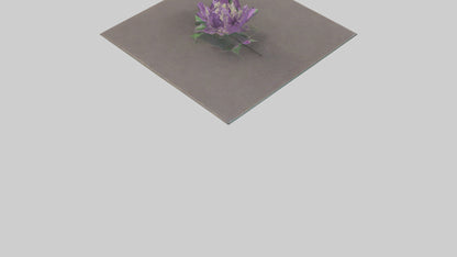 Clematis model 3D model