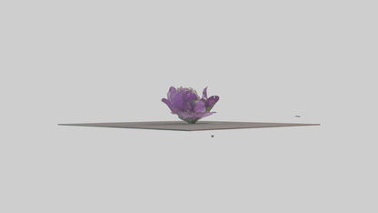 Clematis model 3D model