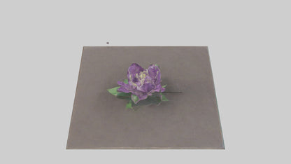 Clematis model 3D model