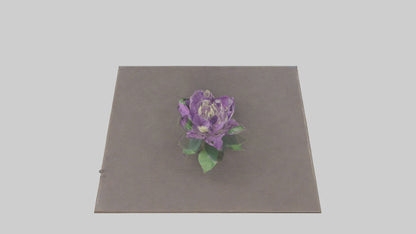 Clematis model 3D model
