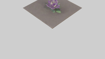 Clematis model 3D model