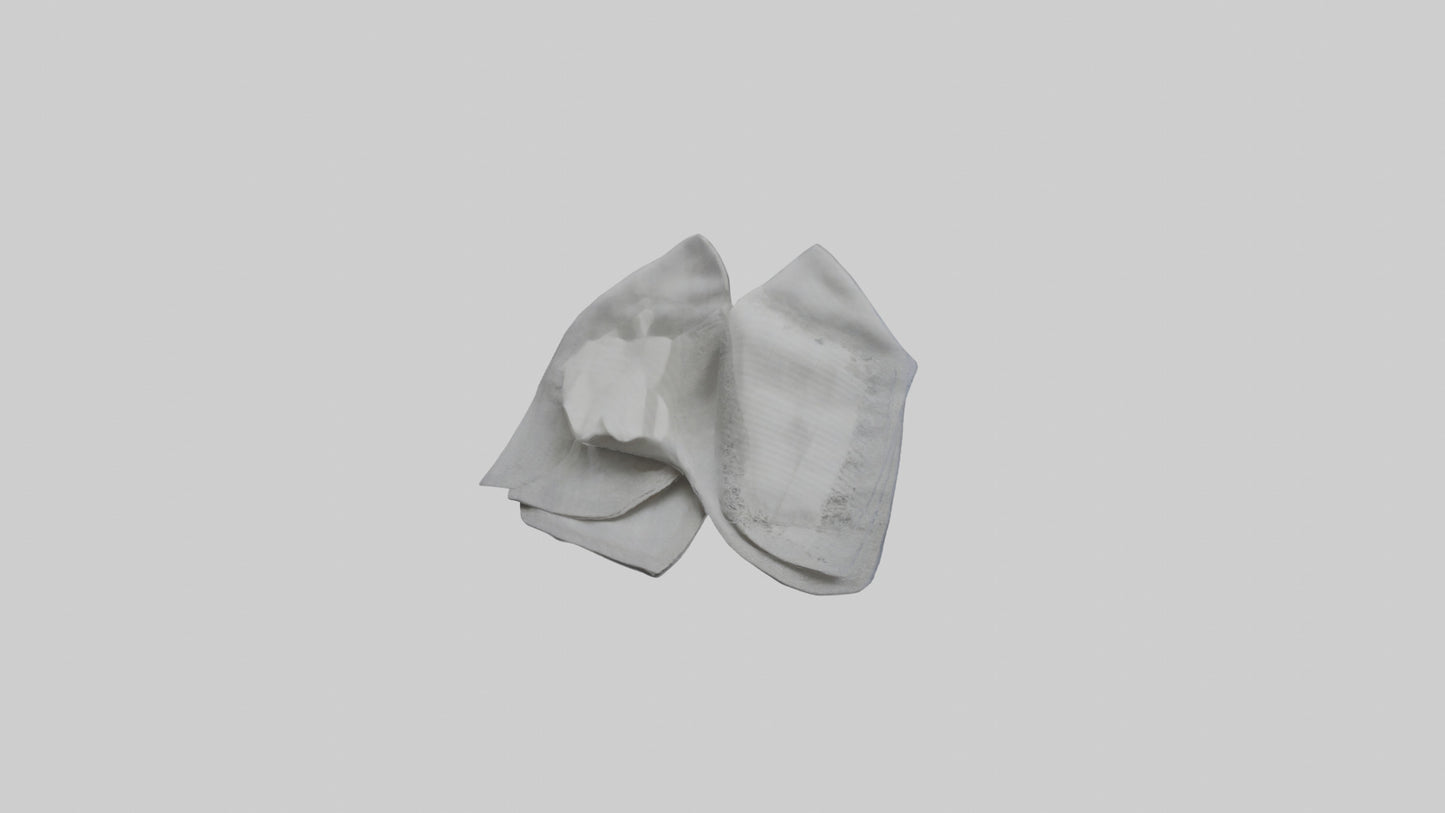 3D model Cloth Napkins model VR / AR / low-poly