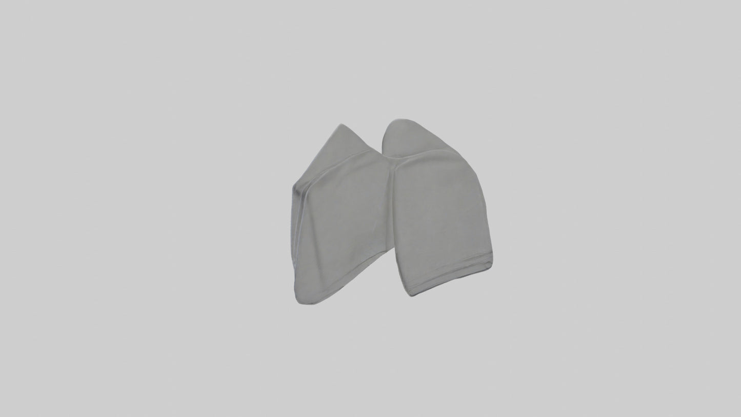 3D model Cloth Napkins model VR / AR / low-poly