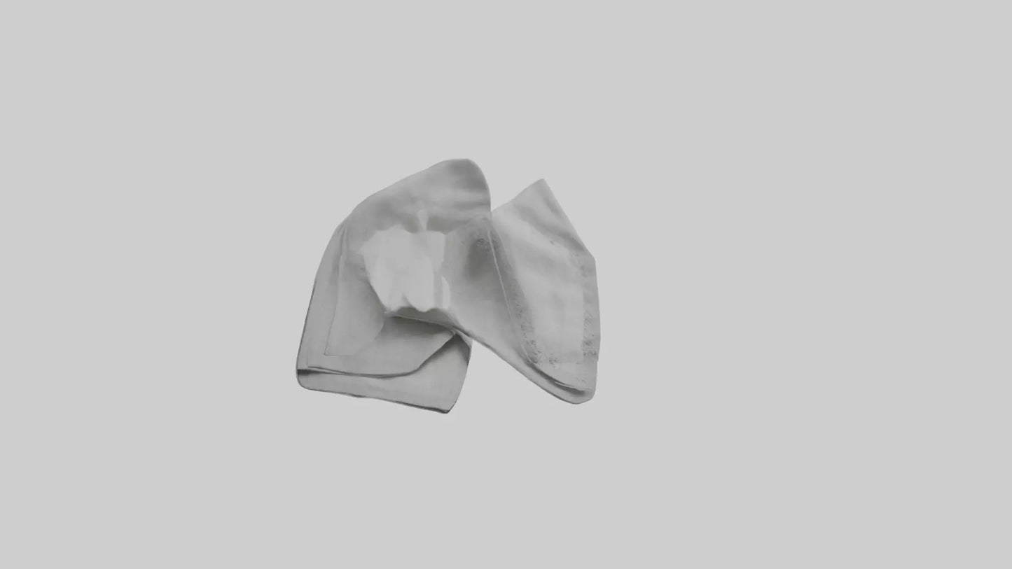 3D model Cloth Napkins model VR / AR / low-poly