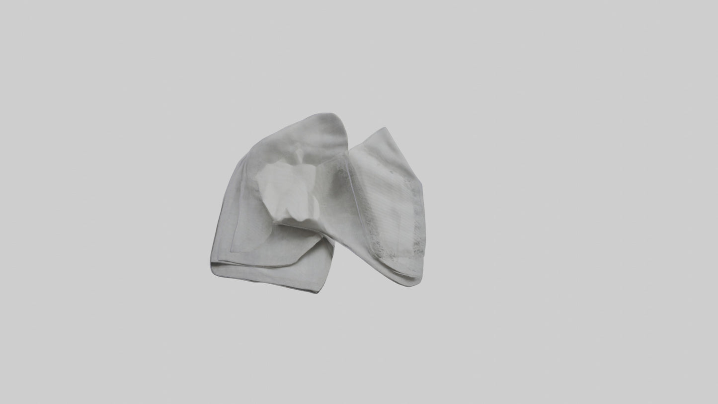 3D model Cloth Napkins model VR / AR / low-poly
