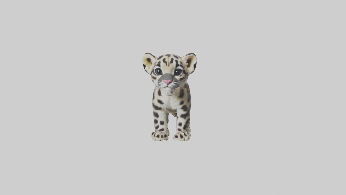 3D model Clouded Leopard cub playing model VR / AR / low-poly