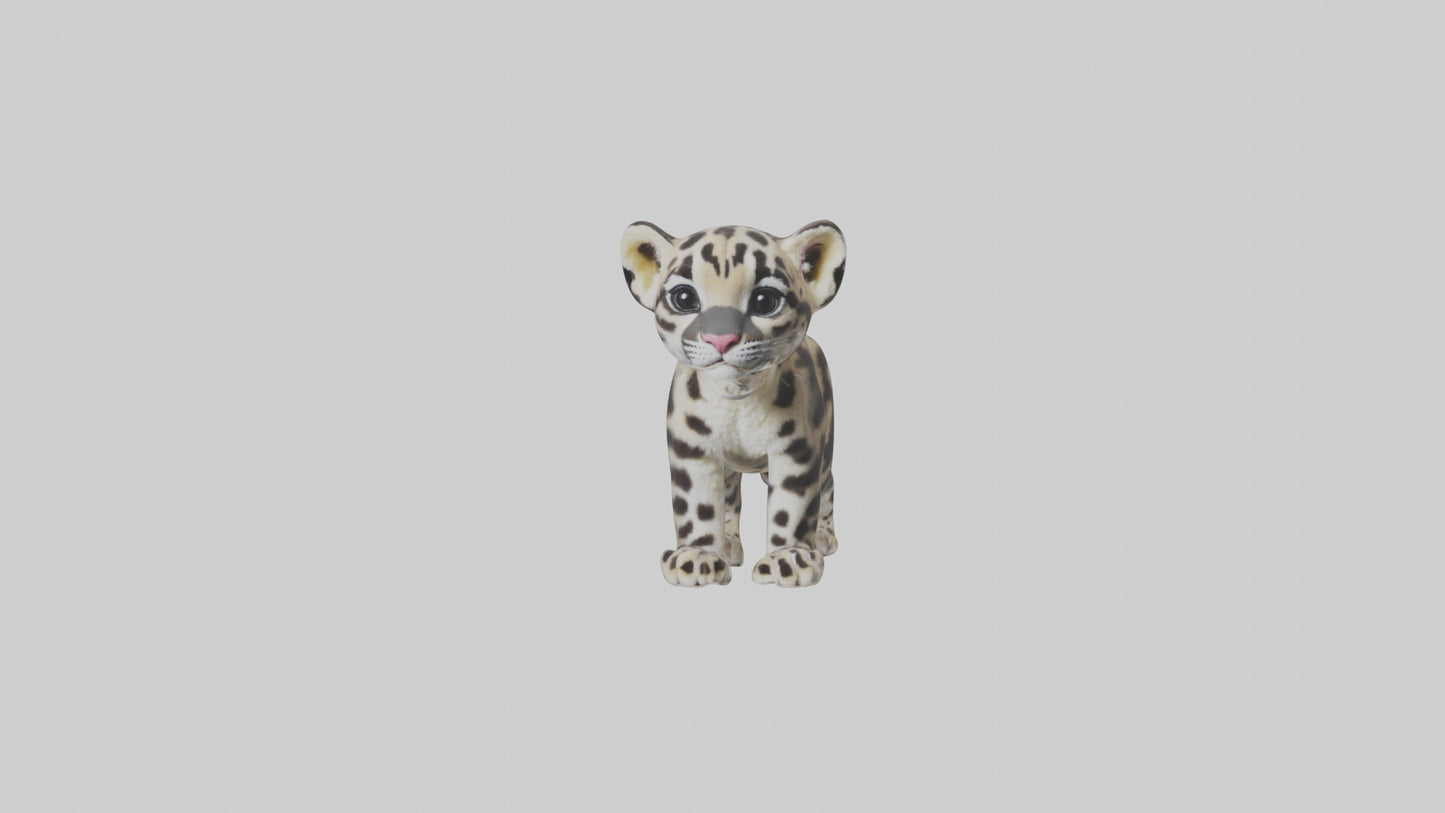 3D model Clouded Leopard cub playing model VR / AR / low-poly