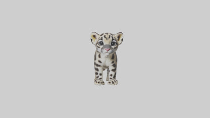 3D model Clouded Leopard cub playing model VR / AR / low-poly