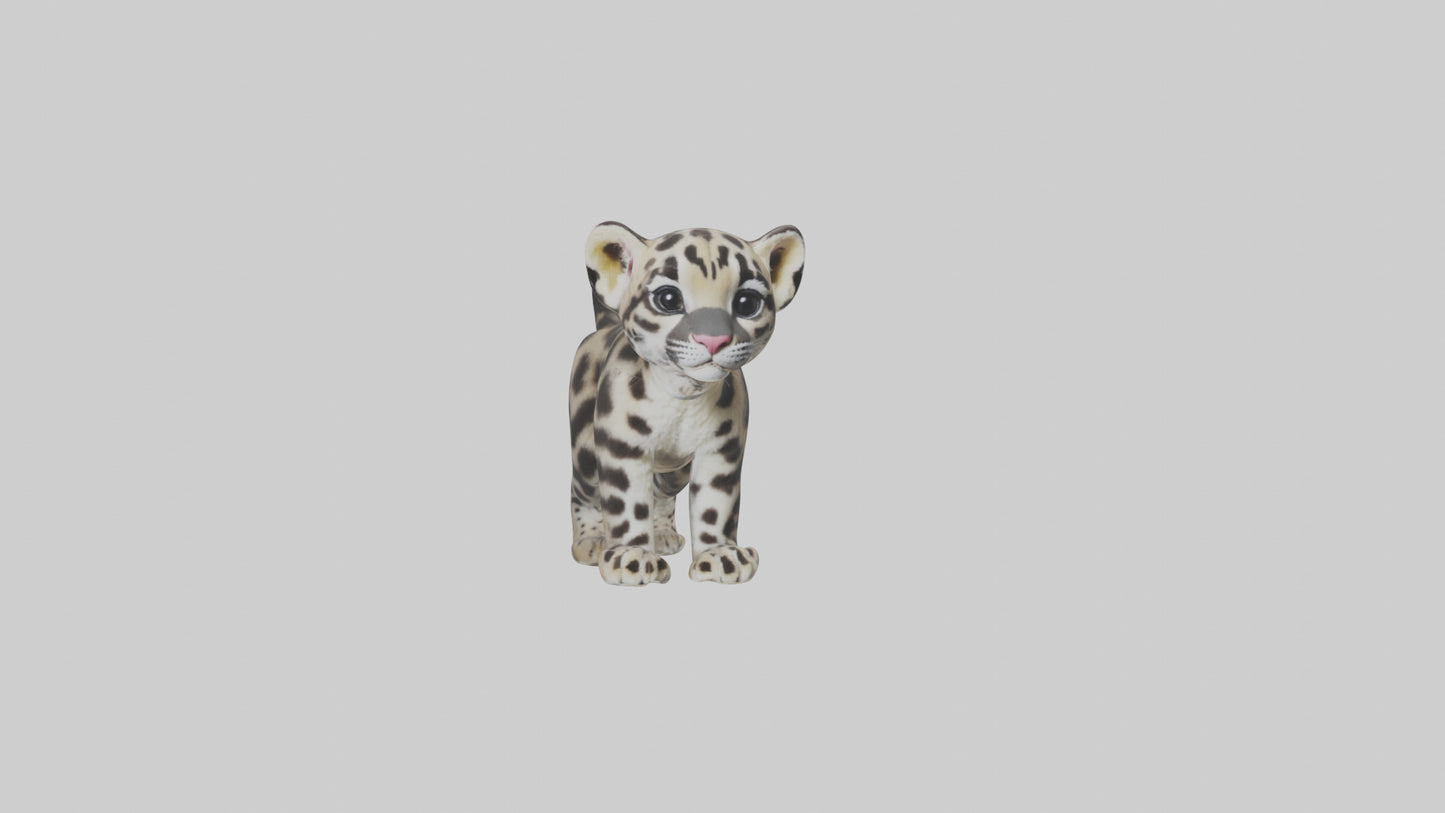 3D model Clouded Leopard cub playing model VR / AR / low-poly