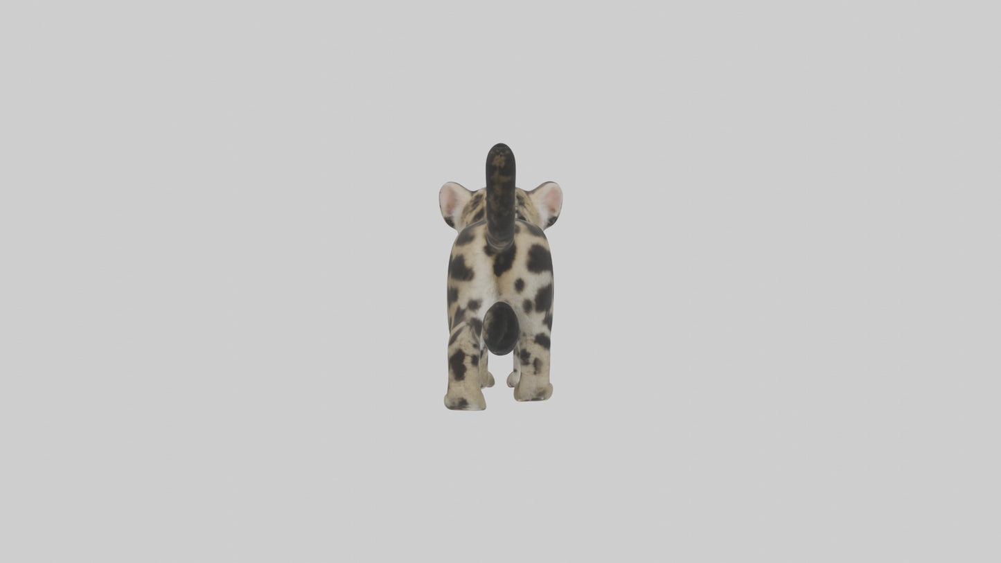 3D model Clouded Leopard cub playing model VR / AR / low-poly