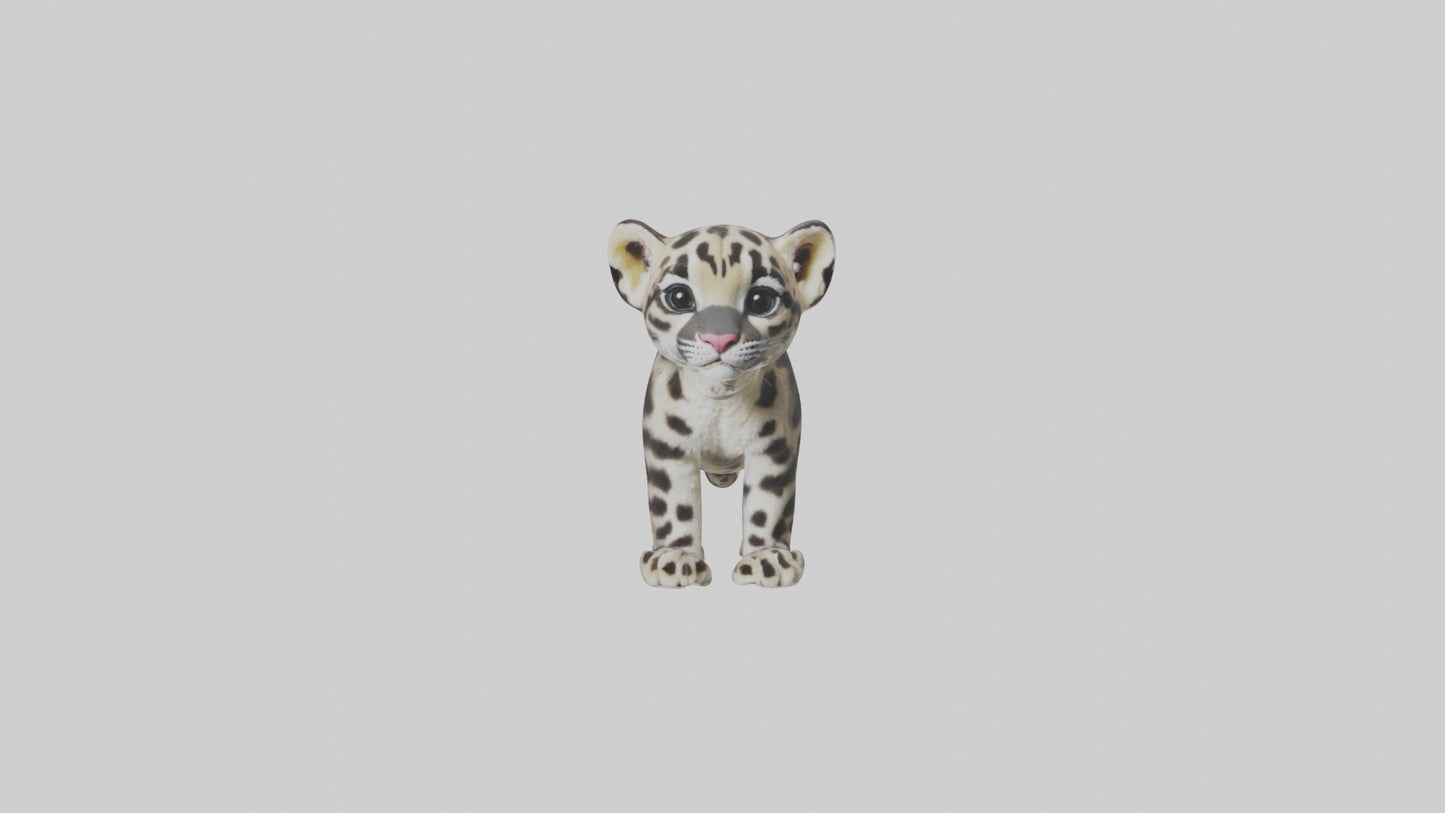 3D model Clouded Leopard cub playing model VR / AR / low-poly