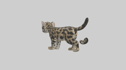 3D model Clouded Leopard cub playing model VR / AR / low-poly