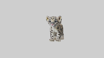 3D model Clouded Leopard cub playing model VR / AR / low-poly