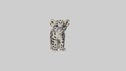 3D model Clouded Leopard cub playing model VR / AR / low-poly