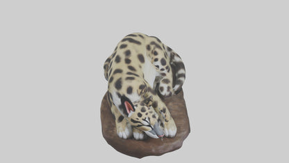 Clouded Leopard sleeping model VR / AR / low-poly