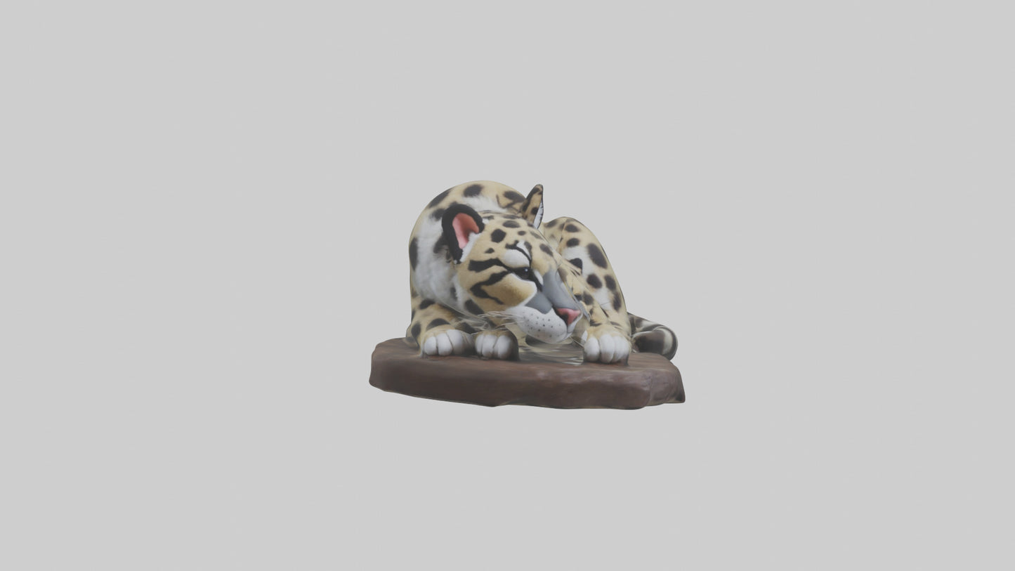 Clouded Leopard sleeping model VR / AR / low-poly