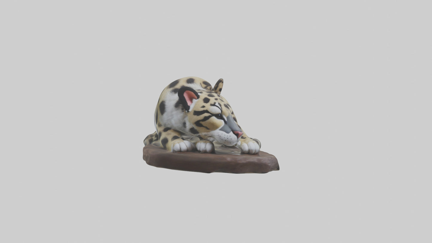 Clouded Leopard sleeping model VR / AR / low-poly