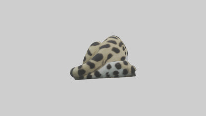 Clouded Leopard sleeping model VR / AR / low-poly
