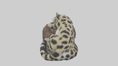 Clouded Leopard sleeping model VR / AR / low-poly