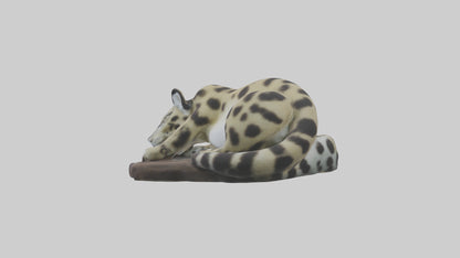 Clouded Leopard sleeping model VR / AR / low-poly